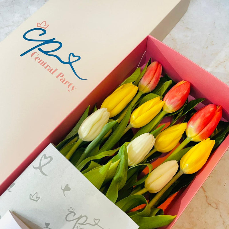 Caja de 3 Tulipanes colores