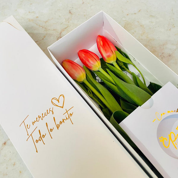 Caja de 3 Tulipanes Naranjas