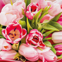 Ramo de 20 Tulipanes Amor
